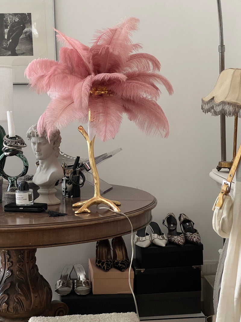 Chevallier Curated